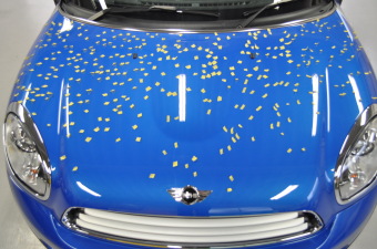 ひょう害車